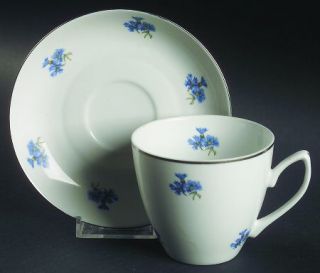 Chodziez Poland Karen Flat Cup & Saucer Set, Fine China Dinnerware   Blue Flower