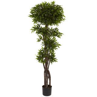 Nearly Natural 5 foot Ruscus Tree Decorative Plant