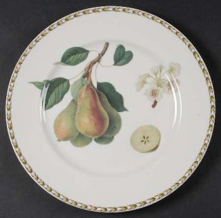 Rosina Queens HookerS Fruit (Bone, Made In England) Large Dinner Plate, Fine Ch