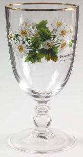 Royal Worcester Worcester Herbs Green Trim 14 Oz Glassware Goblet, Fine China Di