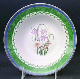 International Smithsonian Botanic Rim Soup Bowl, Fine China Dinnerware   Green&B