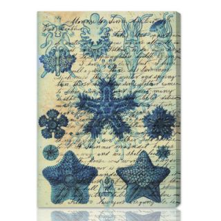 Oliver Gal Starfish in Blue Graphic Art on Canvas 10262 Size: 10 x 14