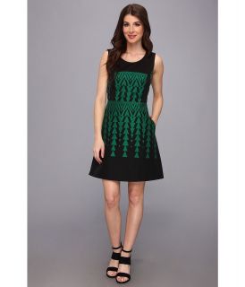 Kenneth Cole New York Allex Dress Womens Dress (Green)