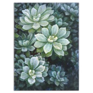 Uttermost 34227 Wall Art, Succulents Floral Painting