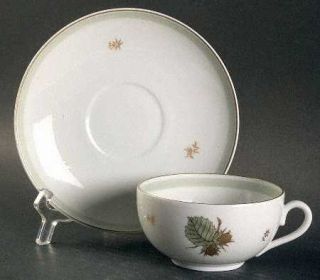 Bing & Grondahl Hazelnut Flat Cup & Saucer Set, Fine China Dinnerware   Nuts In