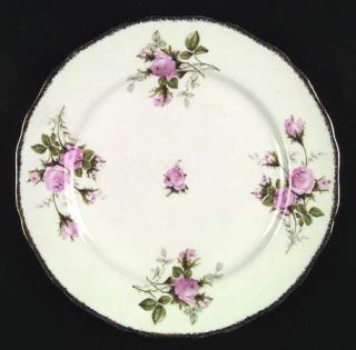 Canonsburg Modern Priscilla Dinner Plate, Fine China Dinnerware   Pink Roses Rim